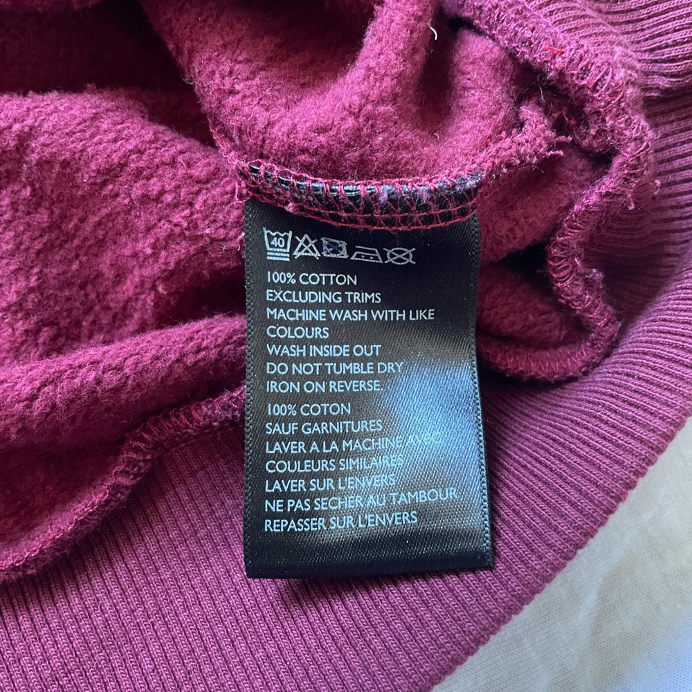 BOGO 🛍️ Urban Outfitters Preppy Fleece Lined Sweatshirt - Picture 4 of 6
